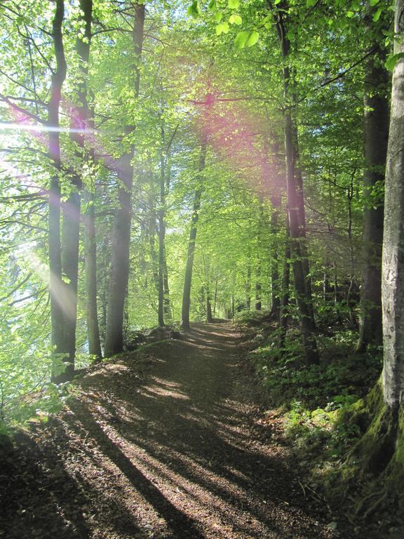 Вилла Bauernhof Unterhoefner Хоф у Зальцбурга Экстерьер фото